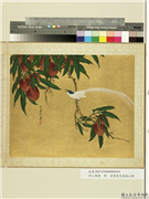 明人集绘　册　清叶鼎奇荔枝山鹊,绘画,果蔬,翎毛
