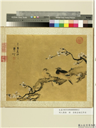 明人集绘　册　清陈皇梅花翠羽,绘画,花草,翎毛