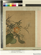明人花果册　册　明人画瓜,绘画,果蔬,花草