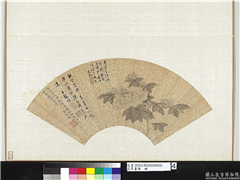 花卉画册　册　明王縠祥芙蓉,绘画,花草