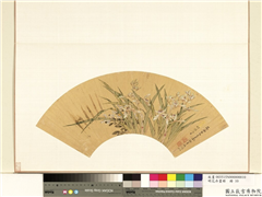 花卉画册　册　清张昉兰孙并茂,绘画,花草