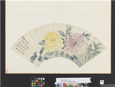 清花卉画册　册　清恽寿平牡丹,绘画,花草