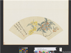 清花卉画册　册　清恽寿平桂花,绘画,花草