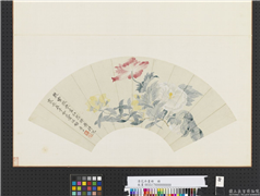清花卉画册　册　清恽寿平虞美人,绘画,花草