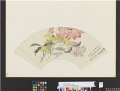 清花卉画册　册　清恽寿平花卉,绘画,花草