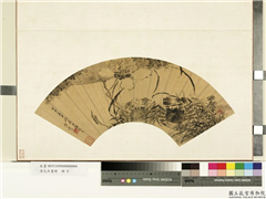 花卉画册　册　明陈嘉言莲荷,绘画,花草,水中动植物,果蔬