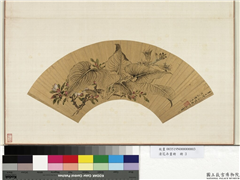 花卉画册　册　清曹有光玉簪花,绘画,花草