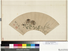 花卉画册　册　清沈宗敬菊花,绘画,花草,树木