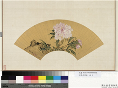 花卉画册　册　清蒋廷锡芍药,绘画,花草