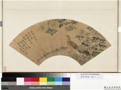 花卉画册　册　清姜廷干菊花翎毛,绘画,花草,翎毛