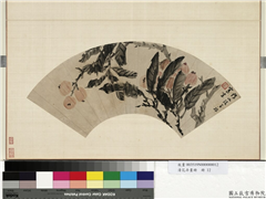 花卉画册　册　清张百禄枇杷,绘画,果蔬