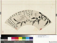 清花卉画册　册　清纪大复佛手,绘画,果蔬