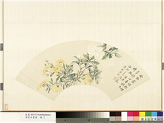 清花卉画册　册　清缦卿栀枝,绘画,花草