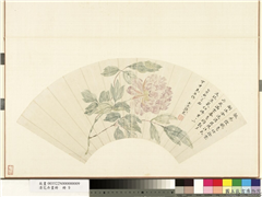 清花卉画册　册　清钱东牡丹,绘画,花草