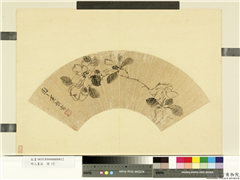 明人画扇　册　明周之冕栀子花,绘画,花草