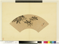 明人便面画册（一）　册　明程大伦墨画桂花,绘画,花草