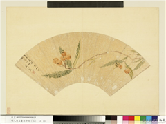 明人便面画册（三）　册　明文从简枇杷,绘画,果蔬