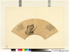 明人便面画册（四）　册　明曹镤蒲石,绘画,山水,花草