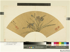 明人便面集锦　册　明陈栝鸢尾,绘画,花草