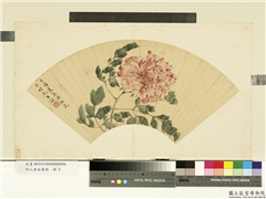 明人便面集锦　册　明陈栝牡丹,绘画,花草