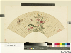 明人便面集锦　册　明陈栝石竹百合,绘画,花草,草虫