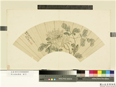 明人便面集锦　册　明陈柱牡丹,绘画,花草