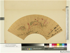 明诸臣书画扇面册页　册　明沈仕秋暮芳华,绘画,花草