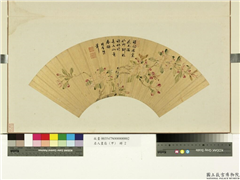 名人画扇 (甲)　册　明项圣谟海棠,绘画,花草