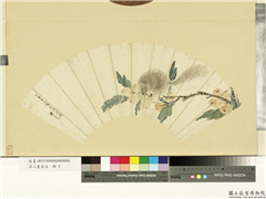 名人画扇 (戊)　册　明陈嘉言枇杷松鼠,绘画,果蔬,走兽