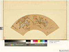 名人画扇（上）　册　明周之冕梨花山鸟,绘画,花草,翎毛