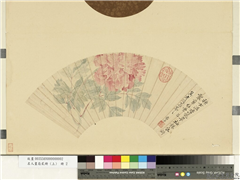 名人画扇贰册 (上)　册　清恽寿平折枝牡丹,绘画,花草