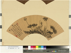 名人画扇贰册 (上)　册　清王武罂粟,绘画,花草