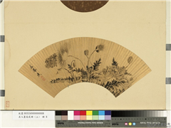 名人画扇贰册 (上)　册　清王武墨画罂粟,绘画,花草