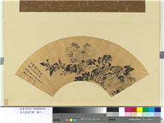 名人画扇贰册 (下)　册　清宋裔桂花芙蓉,绘画,花草