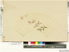名人便面画册　册　清童基法鲍瞻花卉,绘画,花草