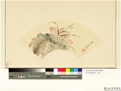 名人便面画册　册　清陈邦直荷芦图,绘画,花草