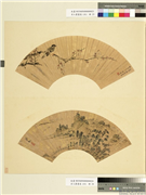 名人书画扇（壬）　册　清顾见龙画梅花鸲鹆,绘画,花草,翎毛