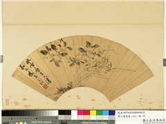 明人画扇（元）　册　明陈淳花卉,绘画,花草