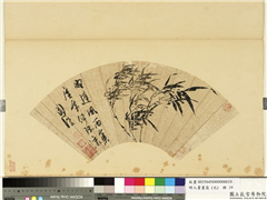 明人画扇（元）　册　明陈淳风竹,绘画,树木