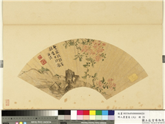 明人画扇（元）　册　明陈淳紫薇,绘画,花草