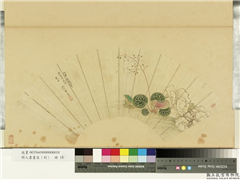 明人画扇（利）　册　明牟义虎耳草青蛙,绘画,花草,水中动植物,山水,草虫