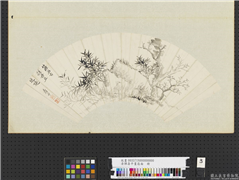 清恽寿平画扇面　册　筱石古槎,绘画,树木,花草