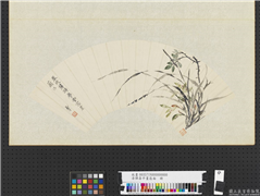 清恽寿平画扇面　册　雪窗兰法,绘画,花草