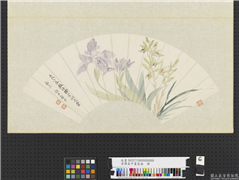 清恽寿平画扇面　册　徐崇嗣没骨图意,绘画,花草