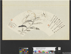 清恽寿平画扇面　册　百合,绘画,花草