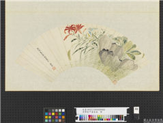 清恽寿平画扇面　册　杂花莎石,绘画,花草,山水
