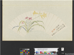清恽寿平画扇面　册　萱花秋罗,绘画,花草