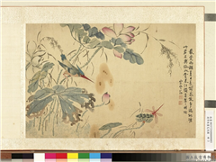 清李敬画花鸟图　册　荷花蜻蜓,绘画,花草,翎毛,草虫,果蔬