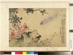 清李敬画花鸟图　册　桂菊寿带,绘画,花草,翎毛