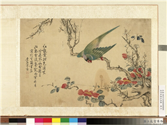 清李敬画花鸟图　册　白梅鹦鹉,绘画,花草,翎毛